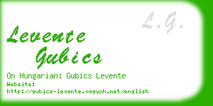 levente gubics business card